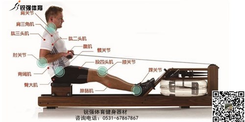 劃船機和跑步機哪個鍛煉更有效