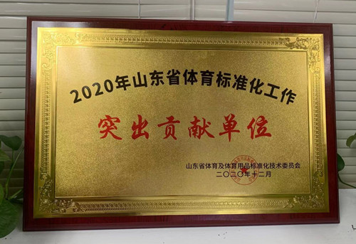 恭喜九游娱乐Nineame官方网站體育榮獲山東省體育及體育用品標準化技術委員會授予“突出貢獻單位”榮譽稱號